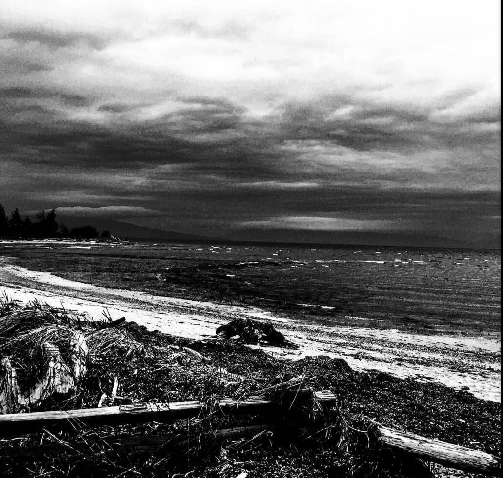 Untitled Untitled